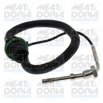Sensor, exhaust gas temperature